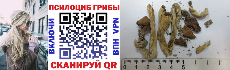 Купить  Лахденпохья  Псилоцибиновые грибы мицелий 